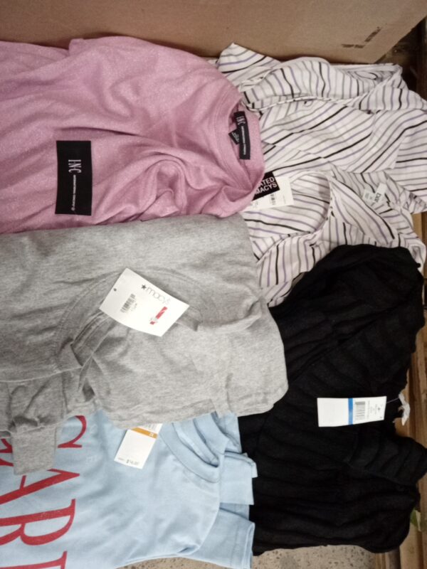 LADIES APPAREL SMALL LOT, SHELF PULLS, 5520569, 32 units, PA image 1
