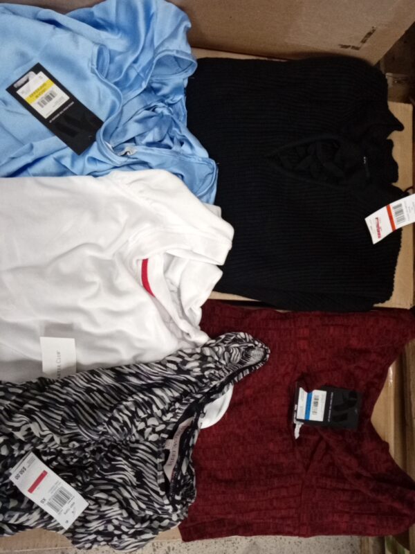 LADIES APPAREL SMALL LOT, SHELF PULLS, 5520569, 32 units, PA image 2