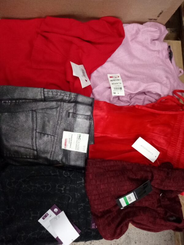 LADIES APPAREL SMALL LOT, SHELF PULLS, 5520571, 27 units, PA image 1