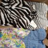 LADIES SWIMWEAR SMALL LOT, SHELF PULLS, 5520684, 73 units, PA image 5