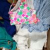LADIES SWIMWEAR SMALL LOT, SHELF PULLS, 5520686, 86 units, PA image 3