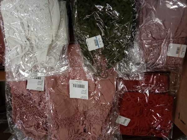 LADIES INTIMATE SMALL LOT, SHELF PULLS, 5520741, 74 units, PA image 3