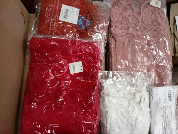 LADIES INTIMATE SMALL LOT, SHELF PULLS, 5520762, 75 units, PA image 3