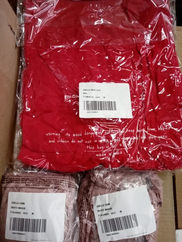 LADIES INTIMATE SMALL LOT, SHELF PULLS, 5520776, 67 units, PA image 3