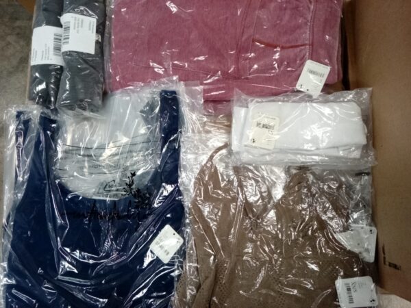 LADIES INTIMATE SMALL LOT, SHELF PULLS, 5520813, 72 units, PA image 1
