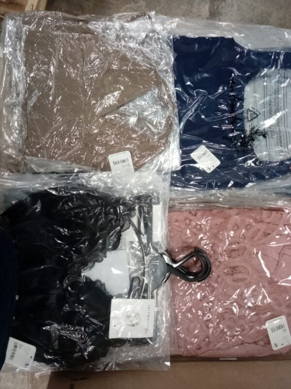 LADIES INTIMATE SMALL LOT, SHELF PULLS, 5520853, 73 units, PA image 1
