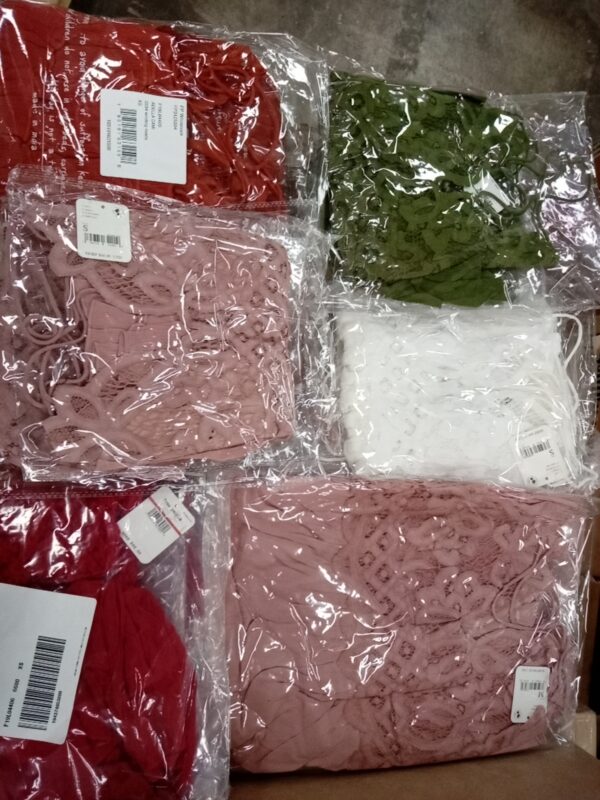 LADIES INTIMATE SMALL LOT, SHELF PULLS, 5520854, 66 units, PA image 2