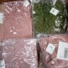 LADIES INTIMATE SMALL LOT, SHELF PULLS, 5520858, 58 units, PA image 3