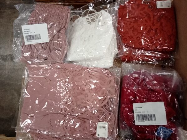 LADIES INTIMATE SMALL LOT, SHELF PULLS, 5520899, 39 units, PA image 2