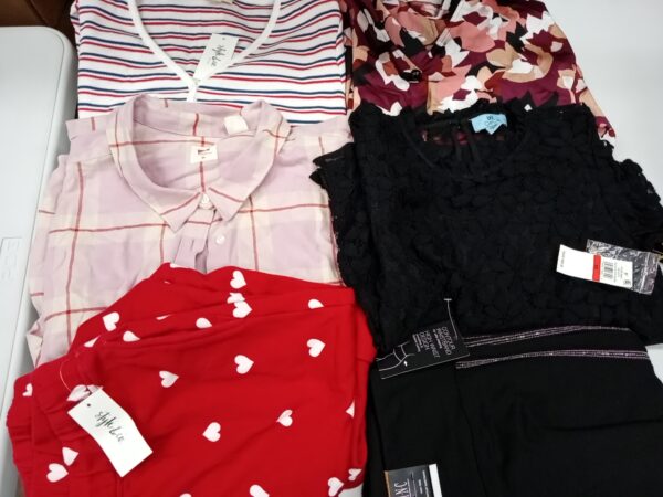 LADIES DESIGNER SMALL LOT, SHELF PULLS, 5520839, 45 units, PA image 3