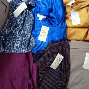 LADIES DESIGNER SMALL LOT, SHELF PULLS, 5521132, 35 units, PA image 2