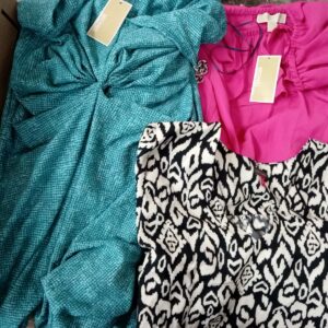 LADIES DESIGNER SMALL LOT, SHELF PULLS, 5521155, 30 units, PA image 1