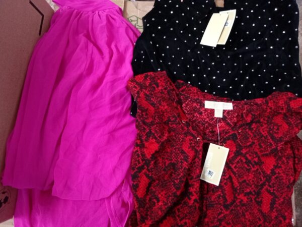 LADIES DESIGNER SMALL LOT, SHELF PULLS, 5521157, 28 units, PA image 2