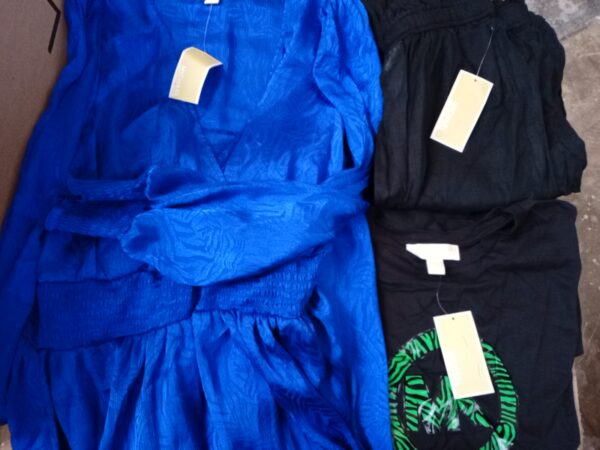 LADIES DESIGNER SMALL LOT, SHELF PULLS, 5521160, 24 units, PA image 3