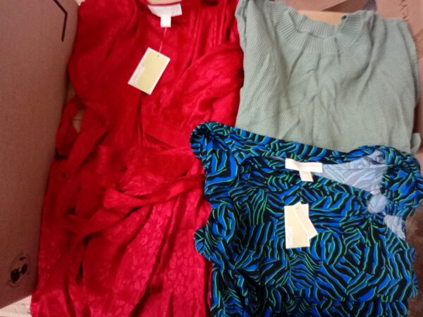 LADIES DESIGNER SMALL LOT, SHELF PULLS, 5521176, 10 units, PA image 2
