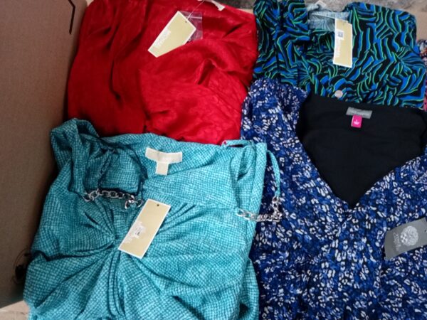 LADIES DESIGNER SMALL LOT, SHELF PULLS, 5521179, 21 units, PA image 5