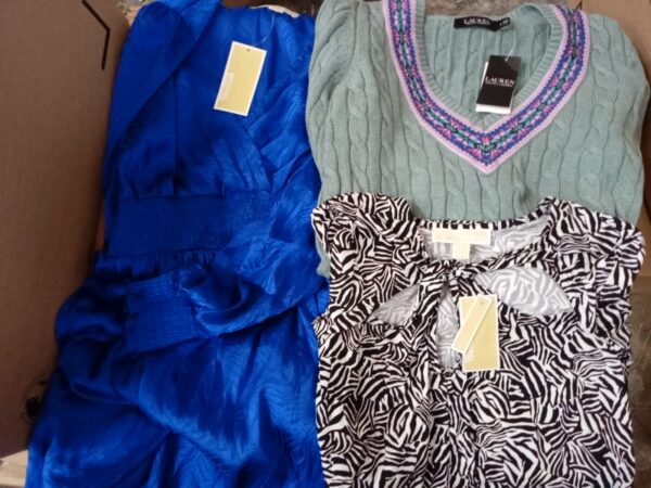 LADIES DESIGNER SMALL LOT, SHELF PULLS, 5521181, 26 units, PA image 2