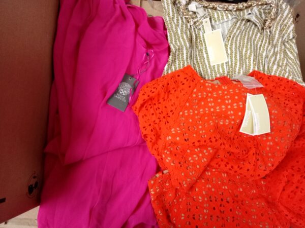 LADIES DESIGNER SMALL LOT, SHELF PULLS, 5521188, 18 units, PA image 3