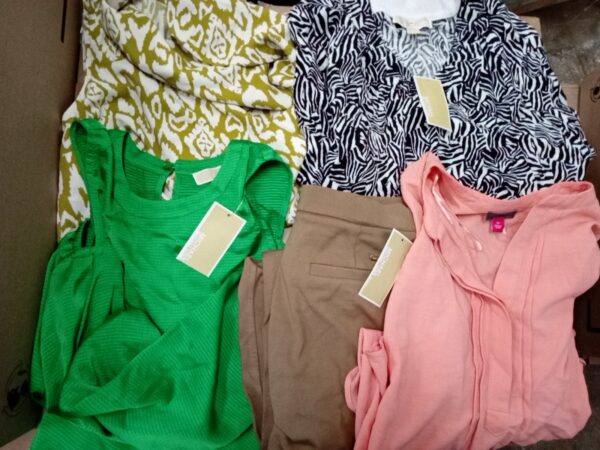 LADIES DESIGNER SMALL LOT, SHELF PULLS, 5521230, 39 units, PA image 3