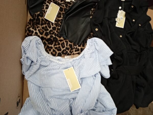 LADIES DESIGNER SMALL LOT, SHELF PULLS, 5521243, 34 units, PA image 2