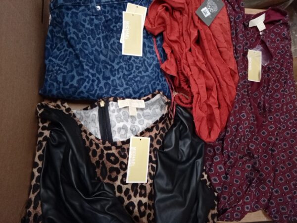 LADIES DESIGNER SMALL LOT, SHELF PULLS, 5521247, 31 units, PA image 1