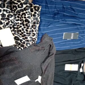 LADIES PLUS SIZE SMALL LOT, SHELF PULLS, 5521249, 22 units, PA image 1