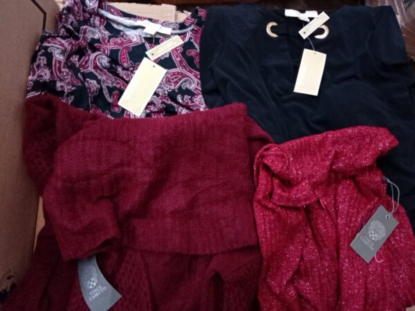 LADIES DESIGNER SMALL LOT, SHELF PULLS, 5521253, 32 units, PA image 2