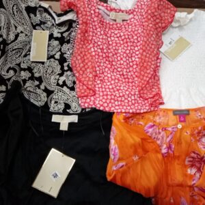 LADIES DESIGNER SMALL LOT, SHELF PULLS, 5521254, 44 units, PA image 2