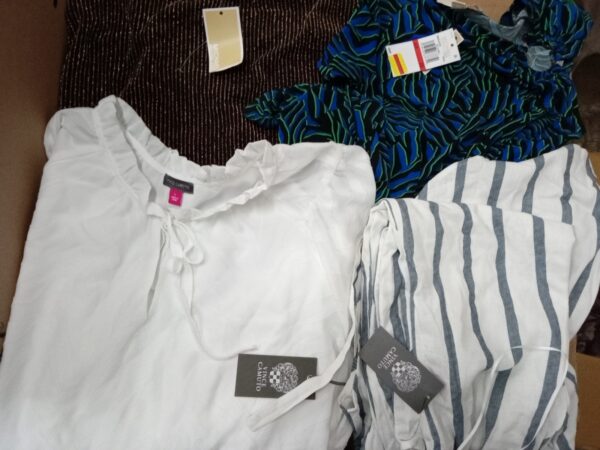 LADIES DESIGNER SMALL LOT, SHELF PULLS, 5521254, 44 units, PA image 1
