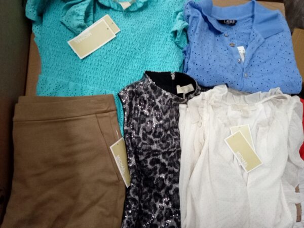 LADIES DESIGNER SMALL LOT, SHELF PULLS, 5521254, 44 units, PA image 5