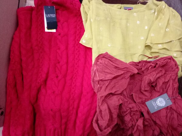 LADIES DESIGNER SMALL LOT, SHELF PULLS, 5521257, 26 units, PA image 2