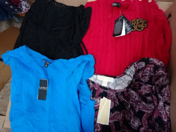 LADIES DESIGNER SMALL LOT, SHELF PULLS, 5521261, 32 units, PA image 3