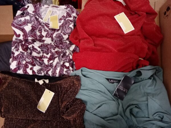 LADIES DESIGNER SMALL LOT, SHELF PULLS, 5521265, 34 units, PA image 3