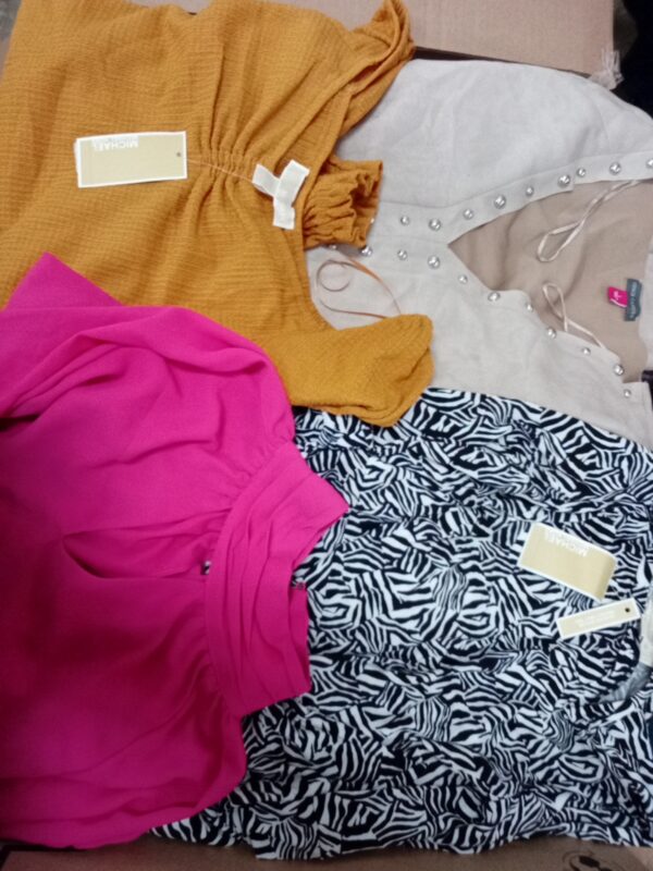 LADIES DESIGNER SMALL LOT, SHELF PULLS, 5521266, 22 units, PA image 2