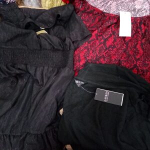 LADIES PLUS SIZE SMALL LOT, SHELF PULLS, 5521268, 23 units, PA image 2