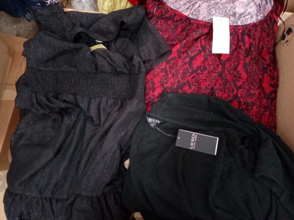 LADIES PLUS SIZE SMALL LOT, SHELF PULLS, 5521268, 23 units, PA image 2