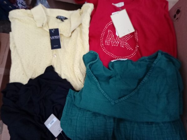 LADIES PLUS SIZE SMALL LOT, SHELF PULLS, 5521268, 23 units, PA image 4