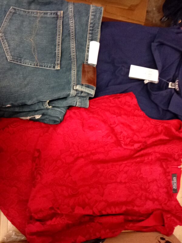 LADIES PLUS SIZE SMALL LOT, SHELF PULLS, 5521268, 23 units, PA image 3
