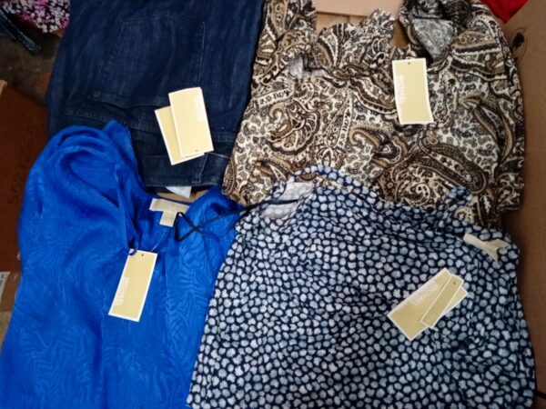 LADIES PLUS SIZE SMALL LOT, SHELF PULLS, 5521269, 27 units, PA image 3