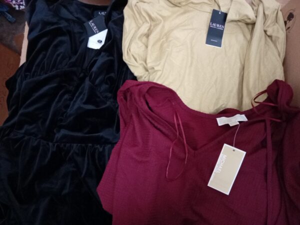 LADIES PLUS SIZE SMALL LOT, SHELF PULLS, 5521269, 27 units, PA image 1