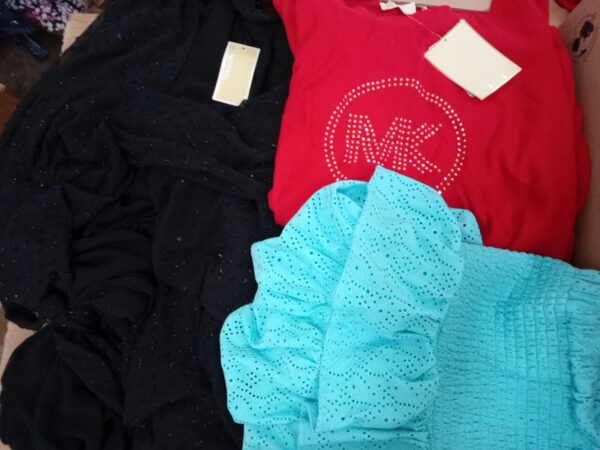 LADIES PLUS SIZE SMALL LOT, SHELF PULLS, 5521269, 27 units, PA image 2