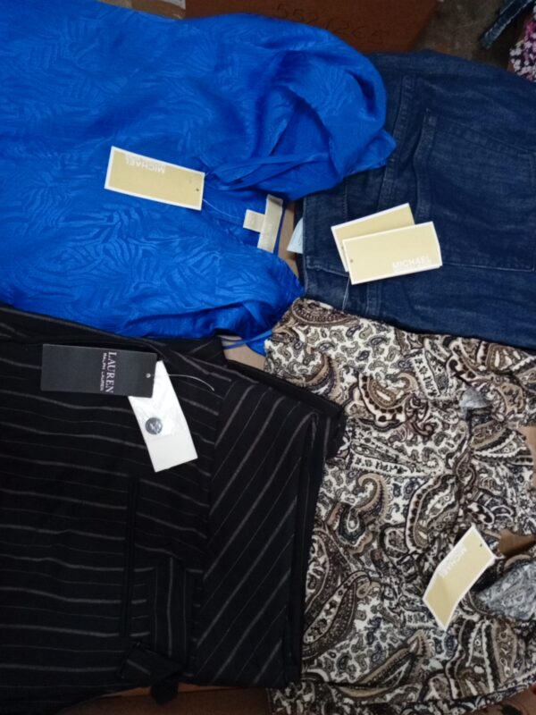 LADIES PLUS SIZE SMALL LOT, SHELF PULLS, 5521269, 27 units, PA image 4