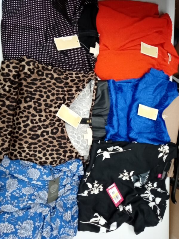 LADIES DESIGNER SMALL LOT, SHELF PULLS, 5521378, 33 units, PA image 2