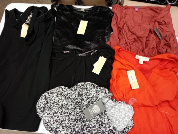LADIES DESIGNER SMALL LOT, SHELF PULLS, 5521380, 30 units, PA image 2