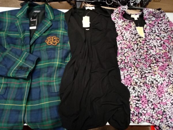 LADIES PLUS SIZE SMALL LOT, SHELF PULLS, 5521381, 27 units, PA image 3