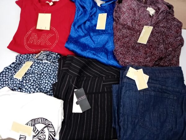 LADIES PLUS SIZE SMALL LOT, SHELF PULLS, 5521381, 27 units, PA image 2