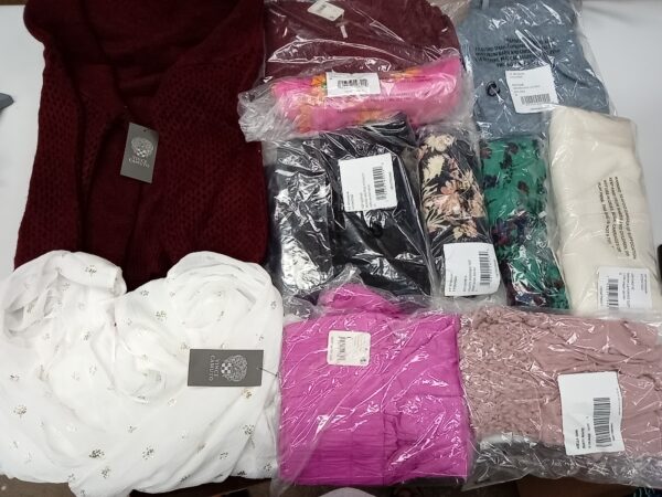 LADIES DESIGNER SMALL LOT, SHELF PULLS, 5521382, 40 units, PA image 1