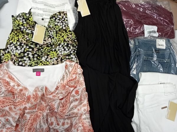LADIES DESIGNER SMALL LOT, SHELF PULLS, 5521413, 35 units, PA image 2