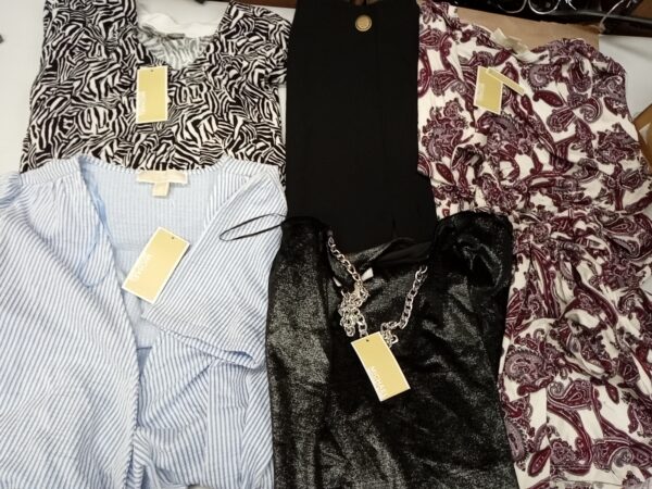 LADIES DESIGNER SMALL LOT, SHELF PULLS, 5521414, 36 units, PA image 3