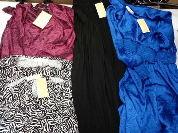 LADIES DESIGNER SMALL LOT, SHELF PULLS, 5521415, 38 units, PA image 3